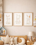 Lot de 3 Affiches "Lapin blanc"